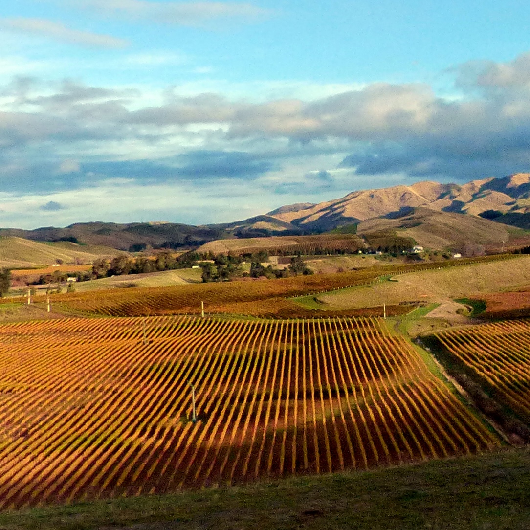 Marlborough New Zealand Scenic View